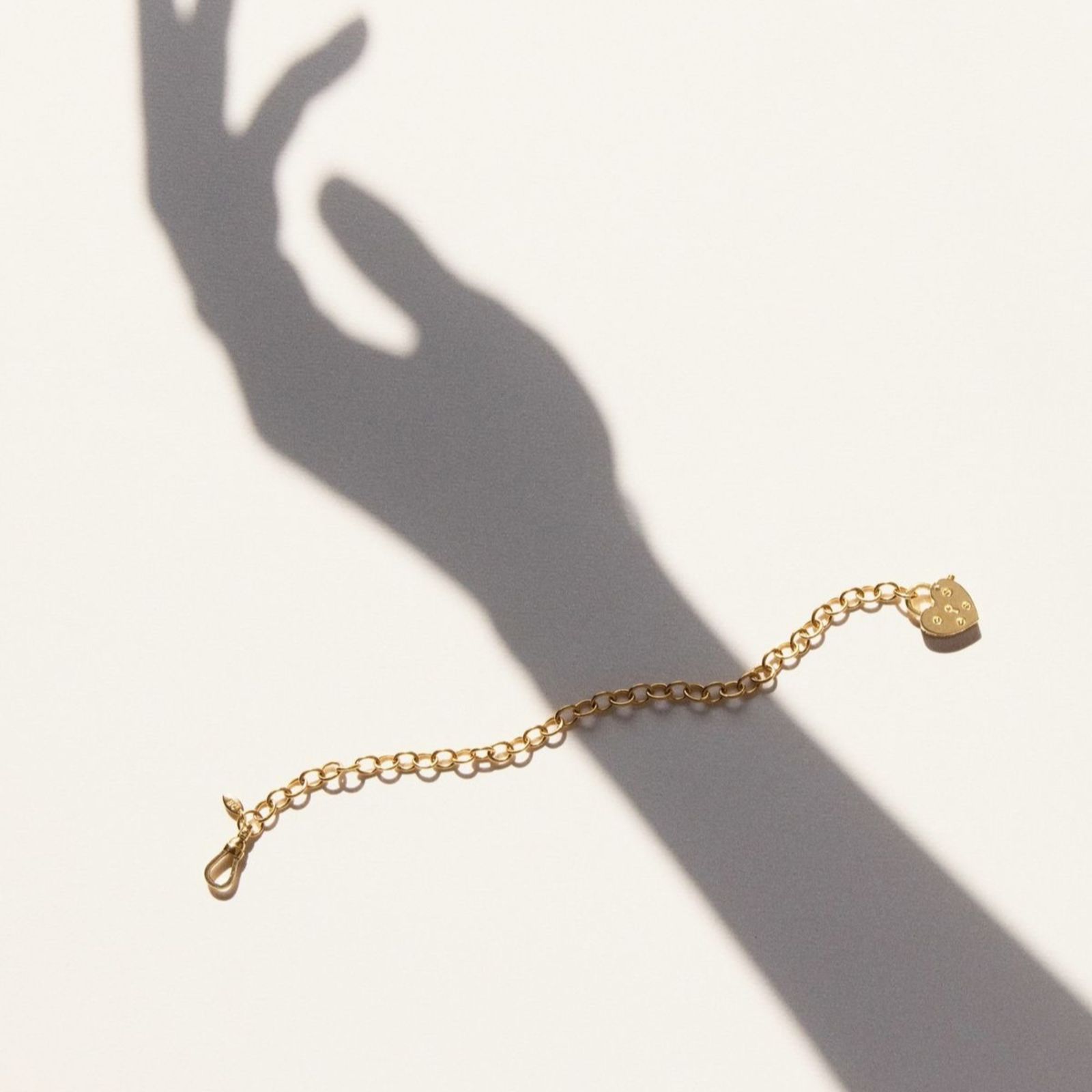 whatsapp image 2026 03 29 at 9.25.19 pm